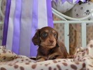 2025-01-21 03.01.13-1