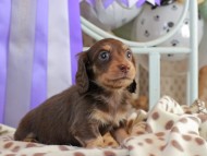 2025-01-21 03.02.16-3