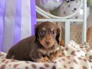 2025-01-21 03.02.17-2