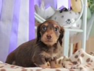 2025-01-21 03.02.30-2