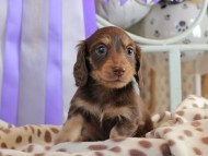 2025-01-21 03.02.53-1