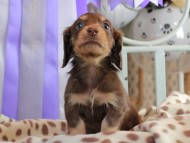 2025-01-21 03.02.54-2