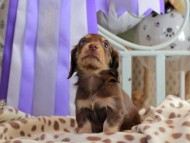 2025-01-21 03.02.58-1