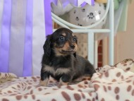 2025-01-21 03.05.29-1