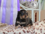 2025-01-21 03.05.30-2