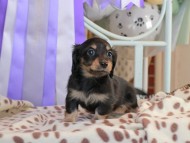 2025-01-21 03.05.31-2 2025-01-21 03.05.31-2