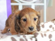 2025-01-21 03.06.59-2