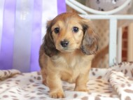 2025-01-21 03.07.30-1