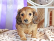 2025-01-21 03.07.30-2