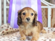 2025-01-21 03.07.36-2 2025-01-21 03.07.36-2