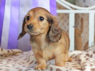 2025-01-21 03.08.07-1