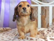 2025-01-21 03.08.09-1 2025-01-21 03.08.09-1