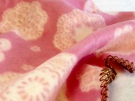 カニヘンダックス 子犬 シェーデットクリーム 女の子 カニヘンダックス 子犬 シェーデットクリーム 女の子