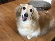 写真 2017-08-02 12 34 58 写真 2017-08-02 12 34 58