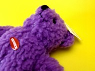 カニンヘン ダックスフンド 子犬 ブラッククリーム 女の子 カニンヘン ダックスフンド 子犬 ブラッククリーム 女の子