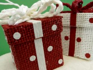 カニヘンダックス　子犬　シェーデットレット女の子