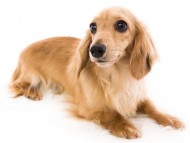 03シャーロット01_J9A5924-Edit 03シャーロット01_J9A5924-Edit