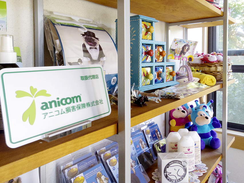 本舎にもフードや用品の在庫がございます 本舎にもフードや用品の在庫がございます