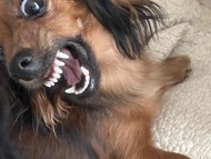 2acceptance 2acceptance