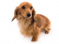 tn04クラウディア__K9A3190