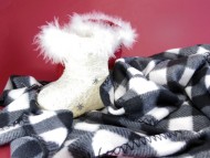 カニヘンダックス　仔犬　シェーデットクリーム男の子