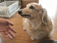 写真 2017-08-02 12 31 44 写真 2017-08-02 12 31 44