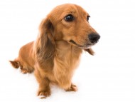 01リールー_J9A5893-Edit 01リールー_J9A5893-Edit