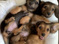 3acceptance 3acceptance