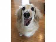 写真 2017-08-02 12 36 58 写真 2017-08-02 12 36 58