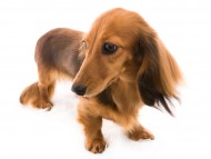 402a0f73f2f92920ca96658f31f090b61 402a0f73f2f92920ca96658f31f090b61