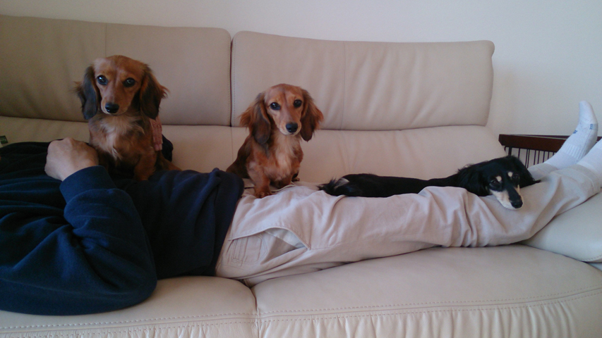 フジフォト大賞2018 佳作 フジフォト大賞2018 佳作