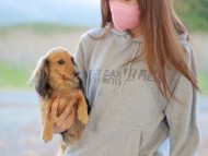 45807690202749567 45807690202749567