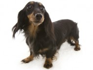 47e69d06c89f6cf62d5928ef777e9e4d-1