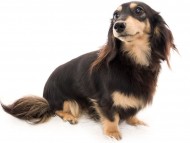 tn04ピアノ_K9A1563