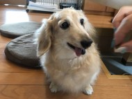 写真 2017-08-02 12 35 13 写真 2017-08-02 12 35 13