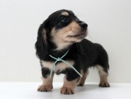 イライ4 イライ4