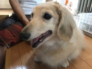 写真 2017-08-02 12 58 23