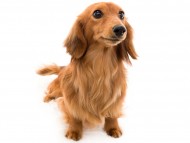 tn12パッションcs_K9A1775