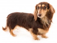 tn14カヌレcs_K9A1832 tn14カヌレcs_K9A1832