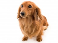 tn12パッションcs_K9A1783