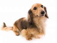 04ジャン_J9A5939-Edit