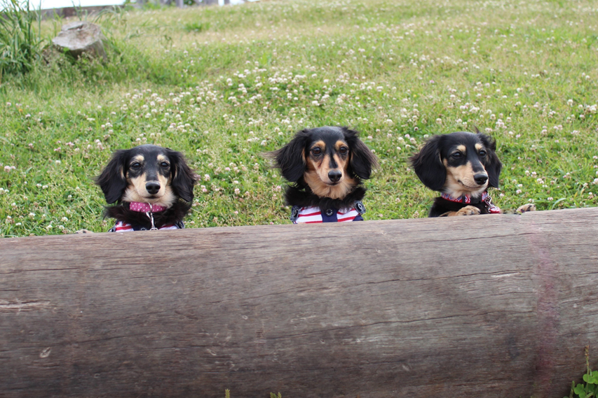 フジフォト大賞2018 大家族賞 フジフォト大賞2018 大家族賞