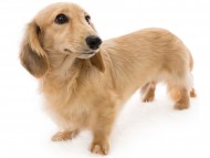 tn11ロックス_J9A1347 tn11ロックス_J9A1347