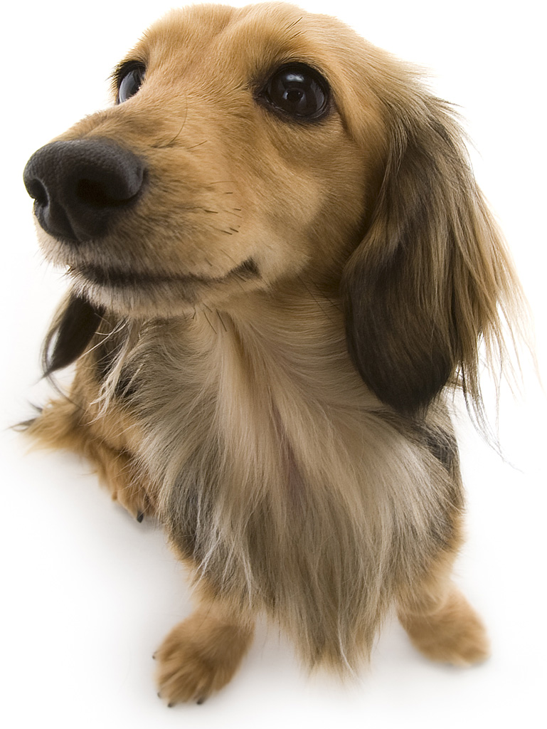 ユジン2 ユジン2