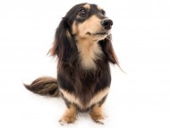 tn04ピアノ_K9A1568