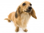 tn13シエラEE5A5495