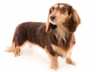 tn14カヌレcs_K9A1810 tn14カヌレcs_K9A1810