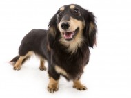 tnHPカイラ_E5A1953