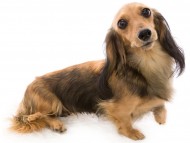 tn12クム_J9A1377 tn12クム_J9A1377