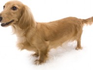 ナルト3 ナルト3